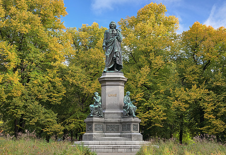 Carl Linnaeus Monument